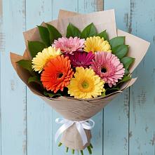 Букет цветов из:  Герберы в Новотроицкой