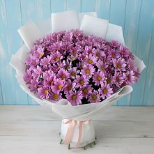 Букет цветов из:  Хризантемы в Новотроицкой