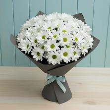 Букет цветов из:  Хризантемы в Новотроицкой