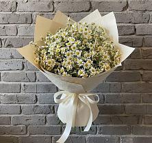 Букет цветов из:  Ромашки #REPLACE_PRED# Новотроицкой
