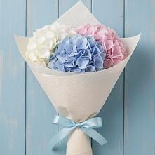 Букет цветов из:  Гортензия в Новотроицкой