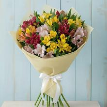 Букет цветов из:  Альстромерии #REPLACE_PRED# Новотроицкой