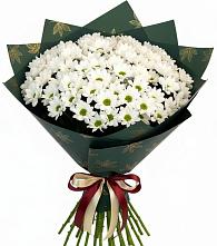 Букет цветов из:  Хризантемы #REPLACE_PRED# Новотроицкой