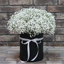 Цветочная композиция из Гипсофила в шляпной коробке в Новотроицкой