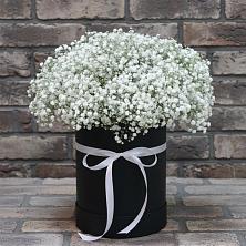 Цветочная композиция из Гипсофила в шляпной коробке в Новотроицкой