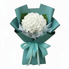 Букет цветов из:  Гортензия в Новотроицкой